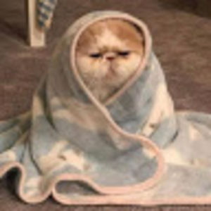 Meet your Posher, Darla